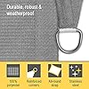 Sol Royal Schaduwdoek Rechthoek 2x3m Zand SolVision PS9 – Zonwering Vierkant met UV-bescherming PES Zonnezeil 200x300 cm Waterafstotend & Ademende Luifeldoek voor Terras, Tuin