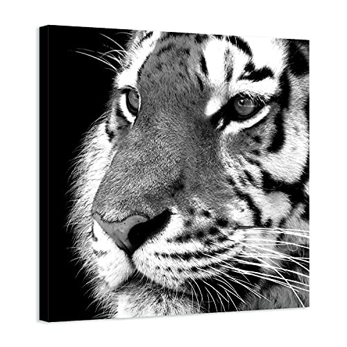Arjazia Tableau Mural Tigre - Décoration Animal - Noir et Blanc - 60x60cm et 80x80cm - Impression Haute Résolution - Toile Tendue sur Un Cadre en Bois (60x60cm)
