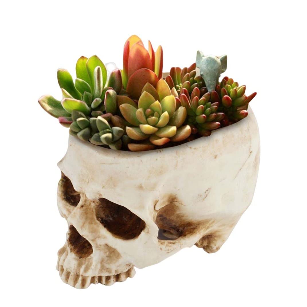 植木鉢、植木鉢、スカルプランターユニークな樹脂スカル型植木鉢面白いプランターコンテナホームオフィスデスクの装飾用