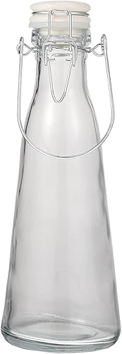 DOITOOL 2 botellas de vidrio transparente y jugo con tapón reutilizables para bebidas lavables