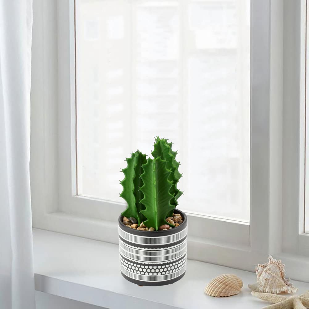 Amazon.com: Briful Artificial Cactus Plant Realistic Mini Faux Succulents  in Pots Black Ceramic Pots with Feet Small Fake Plants Decor for Home Table  Office Desk Bathroom Shelf Living Room Indoor Decoration :