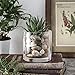 WHOLE HOUSEWARES | 4