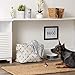 Bone Dry Pet Storage Collection Paw and Bone Print, Small Rectangle, 14x8x9, Gray
