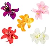 ALIMITOPIA Flower Hair Clip Bohemia Hawaiian Fabric Artificial Orchid Flower Hairpin Barrette Headdress Bobby Pins Headwear Hair Accessories(3.5 inches;5pcs)