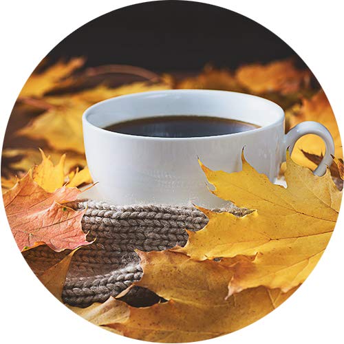 Miniatura 4 de Café con sabor a crema de nueces de vainilla Fall In Love 12 onzas