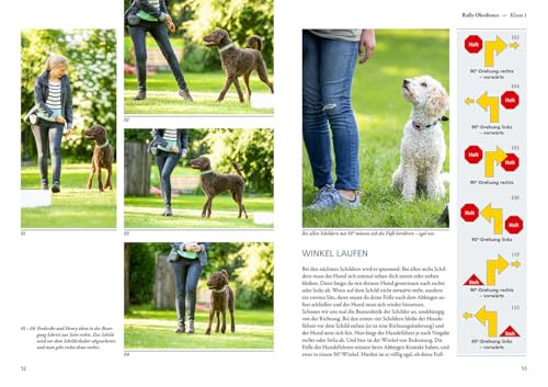 Rally Obedience: Grundlagen, Parcours-Pläne, Trainingsspiele, Mit allen neuen nationalen und internationalen Wettbewerbsbestimmungen