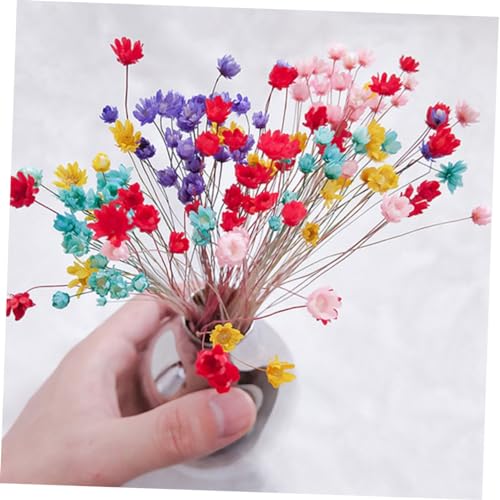 30pcs Mini Flores de Margarita Secas Artificiales miniatura 7