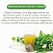 Imagen de Té de  Infusión de Hoja de  Té de Hierbas