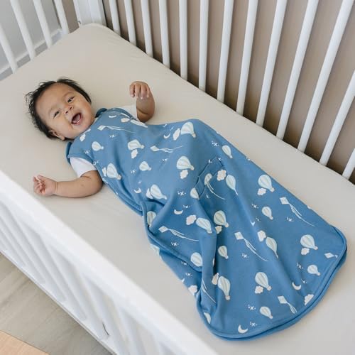 Image of Woolino Toddler Sleeping Bag, 4 Season, Merino Wool and Organic Cotton, Baby Sleep Bag or Sack, 2-4 Years, Hot Air Balloon