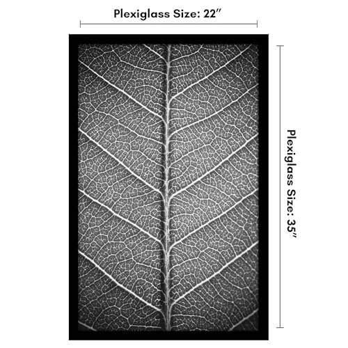 Americanflat 22x35 Poster Frame with Polished Plexiglass - Black Picture Frame - Wide Photo Frames Made of Engineered Wood for Vertical or Horizontal Wall Display - Epic Collection - Black