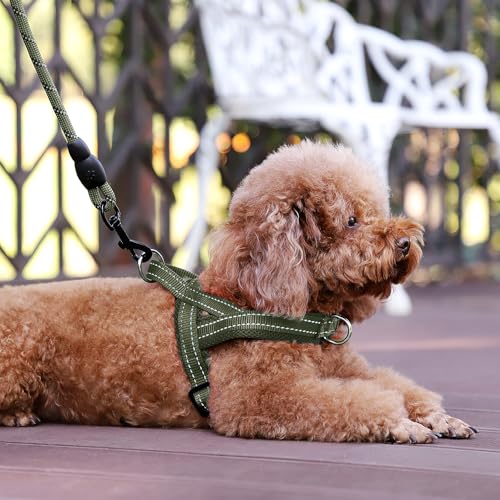 Image of Plutus Pet No Pull Dog Harness for Small Dogs, Breathable Mesh Padded