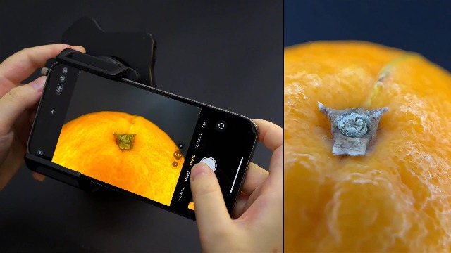 APEXEL Lente Macro Zoom 10X-20X Per Smartphone - Clip Universale, Vetro Ottico, Perfetta Per Foto Ravvicinate E Osservazione A Occhio Nudo