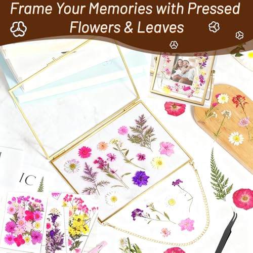 Image of Dried Pressed Flowers for Resin, Real Pressed Flowers Dry Leaves Bulk Natural Herbs Kit for Scrapbooking DIY Art Crafts Epoxy Resin Jewelry Mold Candle Soap Making Nails Decor (Natrual Floral Leaves)