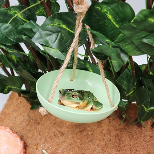 Neeenn Frog Swing Toys, Gecko Swing Toys, Plastic Reptile Amphibian Climbing Toys, Tank Aquarium Terrarium Decoration Accessories, Suitable for Frog Gecko Lizard Chameleon Hermit Crab Hamsters Rats