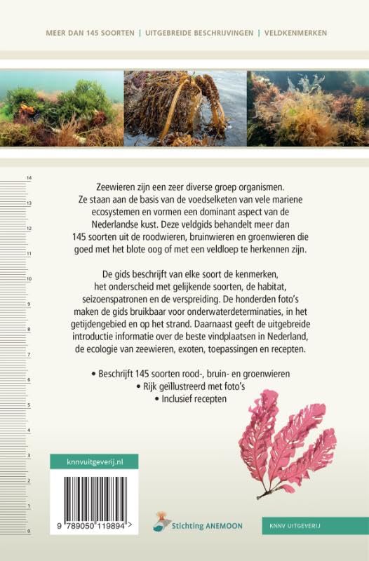 Veldgids Zeewieren: Meer dan 145 soorten – uitgebreide beschrijvingen - veldkenmerken