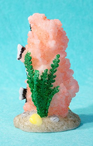 Skeletons And More DIS-300 Skull Display44; Blood Skull with Candle