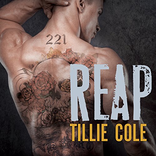 Raze Scarred Souls Series 1 (Audible Audio Edition