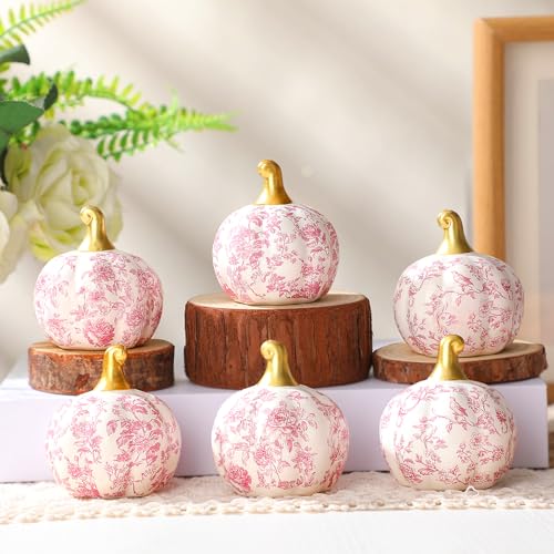 DoubleFill 6 Pcs Pink Ceramic Chinoiserie Pumpkins...