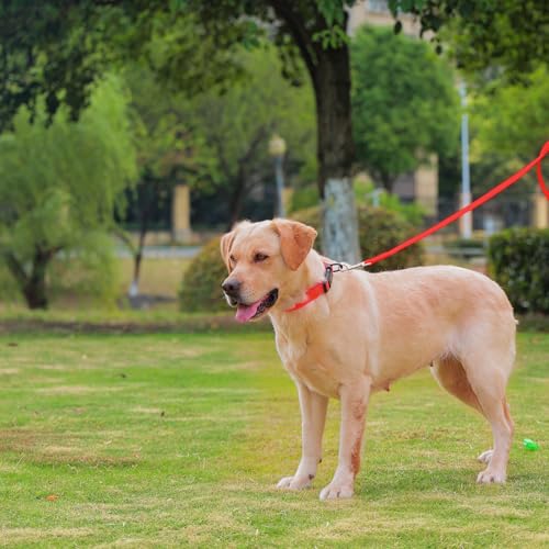 Image of Waterproof Dog Collar, Easy to Clean Rubber Dog Collars with Quick Release Buckle Fits Small Medium or Large Dogs (Red, M (11.8-18.5 inch))