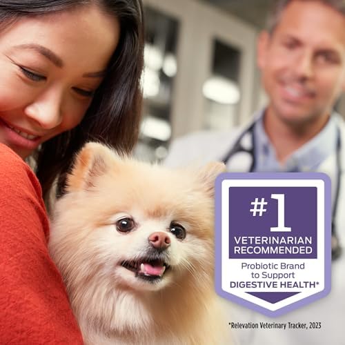 Purina Pro Plan Veterinary Supplements FortiFlora Probiotic Powder for Dogs, Daily Support for Digestive and Immune Health and Occasional Diarrhea - 4