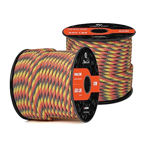Abma Cord Paracord 620 lbs 4mm 9 Strands 100% Nylon 30M - German, Multi Color-german, 30 Meters