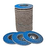Rostio 20 x Fächerscheibe 125 mm Edelstahl Inox Fächer-Schleifscheibe Zirkonkorund Blau Flex/Winkelschleifer (Korn 80)