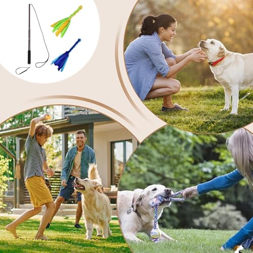Lainiaoly Reizangel Hunde Große Hunde, Interaktives Hundeseilspielzeug, Für Unterhaltung, Spielen Und Training