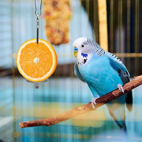 YEES Papegaai Spies Vogel Fruit Houder Papegei Fruitspies 1 stuk roestvrij staal Vogel Finch Finch Canarische Workable - Afbeelding 4
