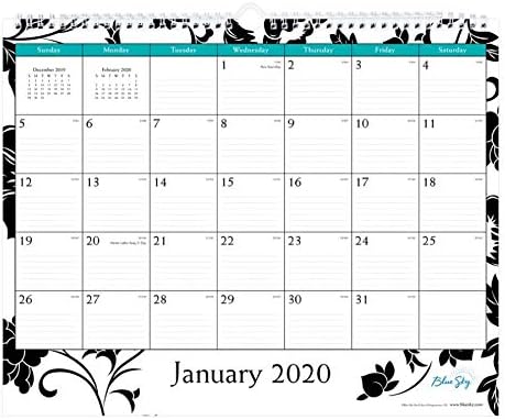 Blue Sky 2020 Monthly Wall Calendar, Twin-Wire Binding, 15" x 12", Barcelona