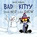 Bad Kitty Does Not Like Snow
