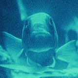 ��u / Bialystocks