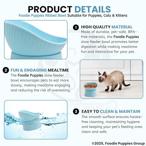Image of Foodie Puppies Pet Elevated Raised Bowl for Cats, Kittens, and Puppies - (Ribbed Bowl, Blue) | 45 Degree Tilted | Cat Food and Water Feeding Bowl | Anti Vomiting, Stress-Free, Durable