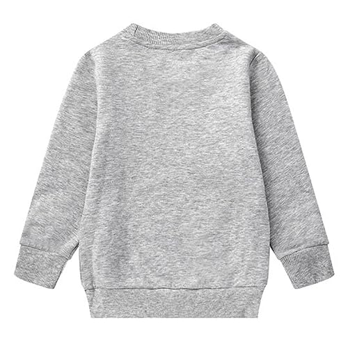Boy's Christmas Sweatshirts for Toddler Dinosaur Toddler Clothes Jumper Boy Cotton Top T Shirt Long Sleeve Crewneck Pullover Fall Winter for Kids Grey Age 2-3 Years Old 3T - Image 2