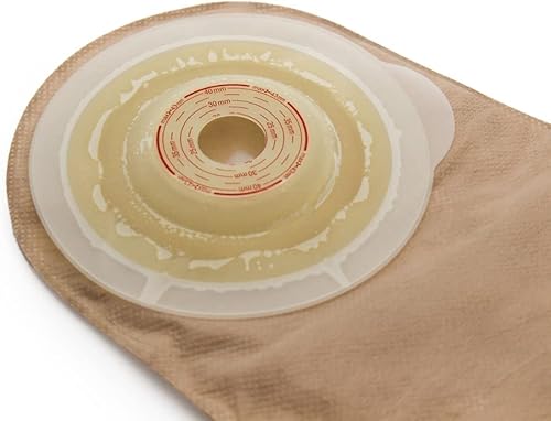 Miniatura 3 de Posterazzi PDX3VG1434Large Irises - Póster de Vincent Van Gogh (8.7 x 28.0 in)