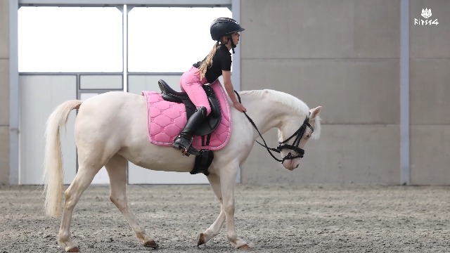 Amazon.com: FitsT4 Sports Girls Riding Pants Full Seat Kids
