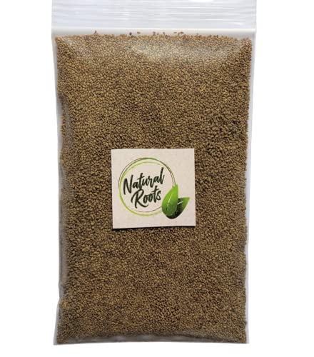 Alfalafa Sprouting Seeds One Pound Non-GMO for Sprouts and Microgreens