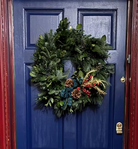 Garden gossip 2 cover art