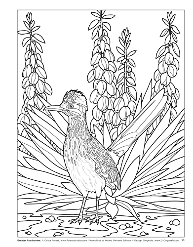 Birds at Home Coloring Book, Revised Edition: Discover Interesting Facts About Cardinals, Robins, Bluebirds, and 30 More of Your Favorite Birds from USA and Canada (Design Originals) Perforated Pages - Image 4