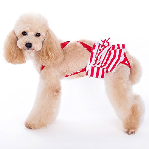 Alfie Pet - Charlotte Diaper Dog Sanitary Pantie With Suspender 2-Piece Set For Girl Dogs - Color: Blue Red, Size: Small #TOP3
