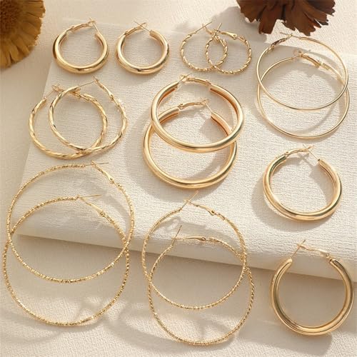 Hoop Earrings for Women,Earrings Jewelry Set Elegant Simple Style Daily Wear Delicate Set