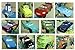 Cars 14 Piece Holiday Christmas Tree Mini Ornaments Set Featuring Luigi, Guido, Sheriff, Sally, The King, Flo, Chick Hicks, Hudson Hornet, Filmore, Ramone, Sarge, Mack, Lightning McQueen, and Mater Ornaments