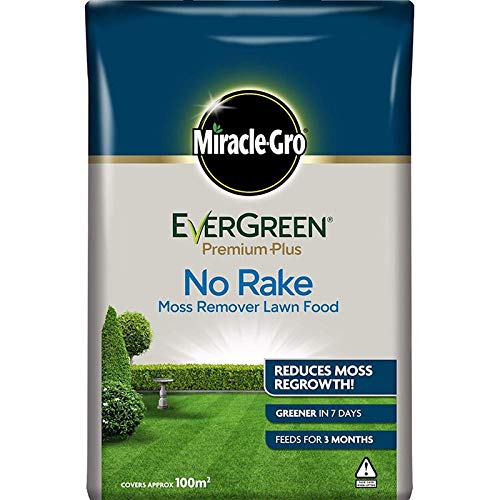 Fertiliser Miracle-Gro EverGreen Premium Plus No Rake Moss Remover Lawn Food 10kg - 100m2 (1 Pack)