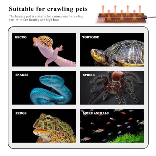 MUALROUS 2pcs 20W Reptil Heizmatte Wasserdichtes Reptilien-Heizkissen Unter dem Tank Wärmer Terrarien-Heizkissen für mit Temperatureinstellung für Schildkröten Eidechsen Schlangen Gecko Amphibien