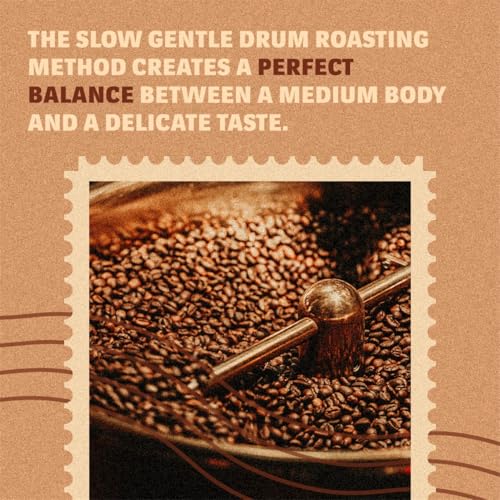 Image of Lavazza Tierra India | Arabica Whole Roasted Bean | Traditional Drum Roasting | 1Kg Pack (Pack of 3)