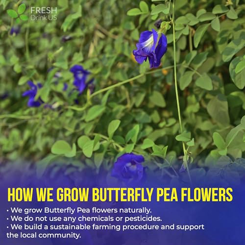 Image of FreshDrinkUS, Premium 100 Blue Butterfly Pea Flowers Tea Bags, 100% Natural and Pure from Butterfly Pea Flowers, Made With Natural Material Tea Bag, No Sugar, No Caffeine, No Gluten, Vegan