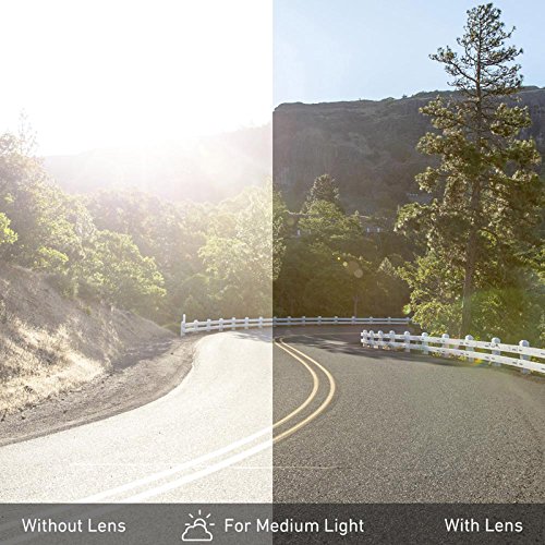 Revant Lenti di ricambio Polarizzate Grigio Fumo