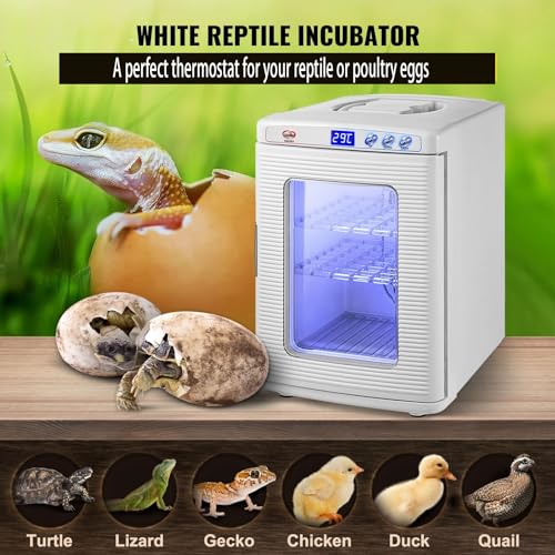 Incubatrice portatile per uova di rettili, scatola da cova per lucertola camaleonte, con termostato di raffreddamento e riscaldamento, attrezzatura per l'allevamento di tartarughe serpenti da