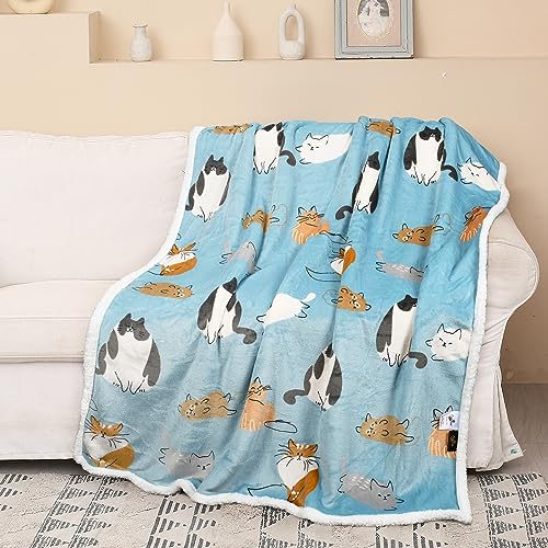 Catalonia Cat Print Sherpa Fleece Throw Blanket, Soft Mink Plush Couch Blanket, Fuzzy Fluffy Comfy...