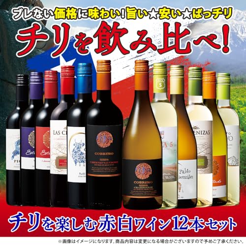 My Wine CLUB 厳選チリワイン12本セット