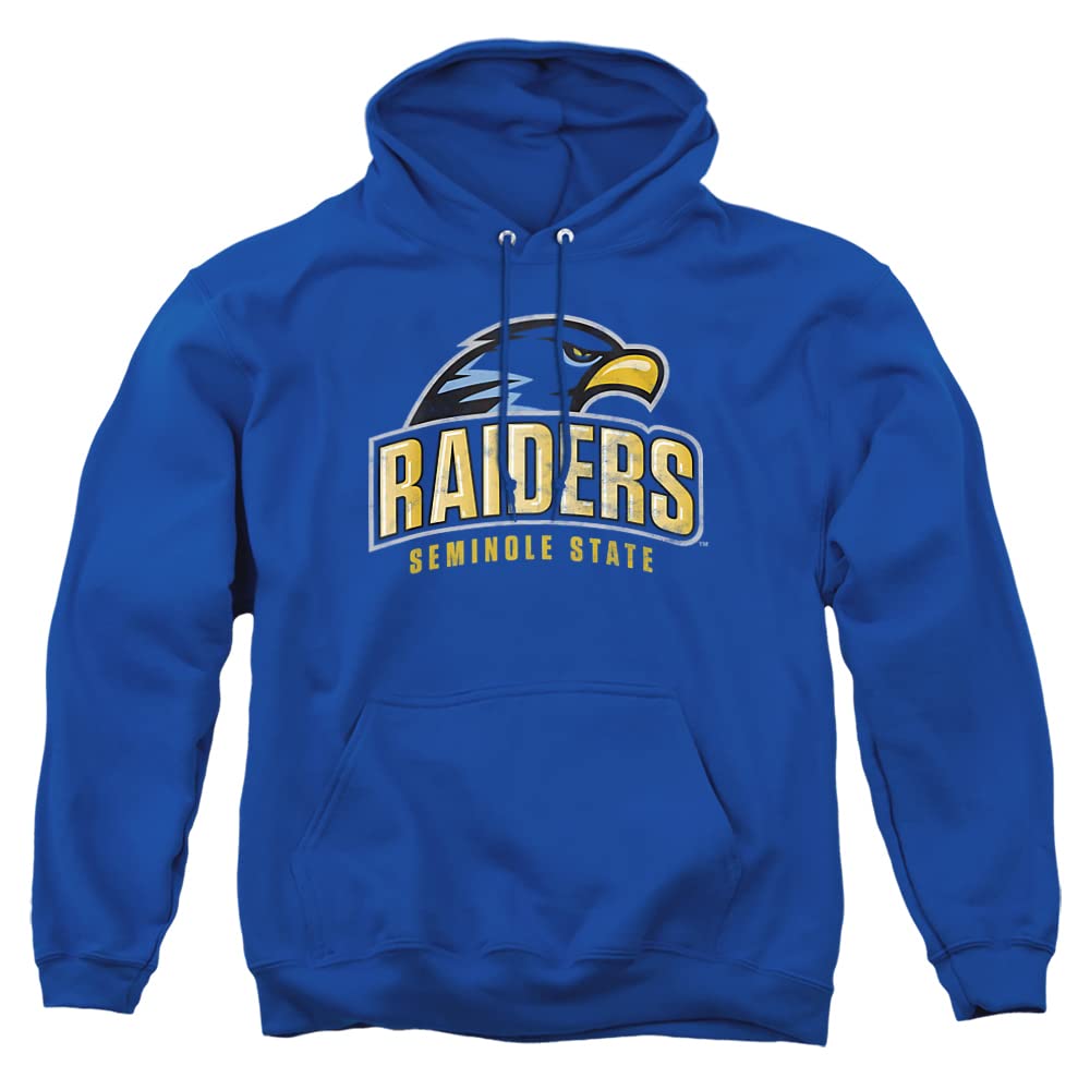 LOGOVISION Official Collegiate Distressed Primary Logo Adult Pullover Hoodie Collection — view 505